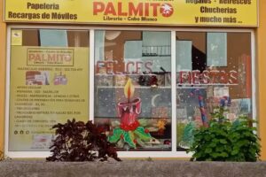 Academia de Ingles y refuerzo Librería Palmito