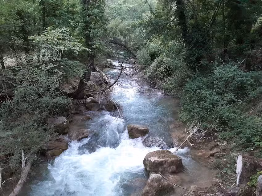 Antiguas viviendas de la f&aacute;brica de papel moneda