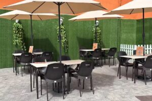 Bar el baifo Papelón con Limón