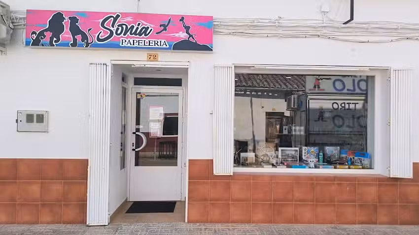 Carmen Varea Morcillo