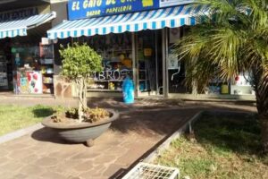 El Gato De Oro Bazar – Papelería – Loterías