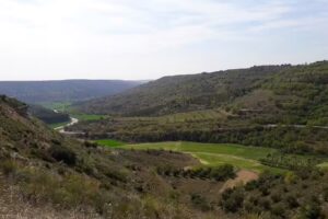EL Tostadero supermercado