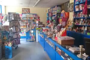 Evolución Papelería Librería