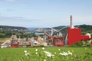 Fábrica de Ence en Navia