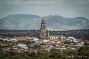 Librería 17 Pueblos