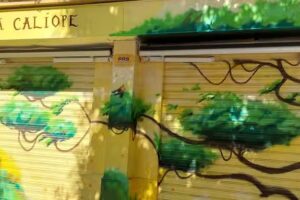 Libreria Papeleria Calíope