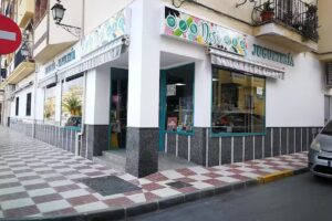 LIBRERIA PAPELERIA DESI