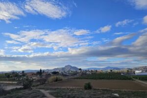 Libreria Papeleria Lorca