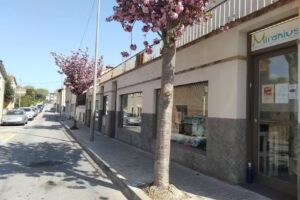 Miranius @miraniusametlla