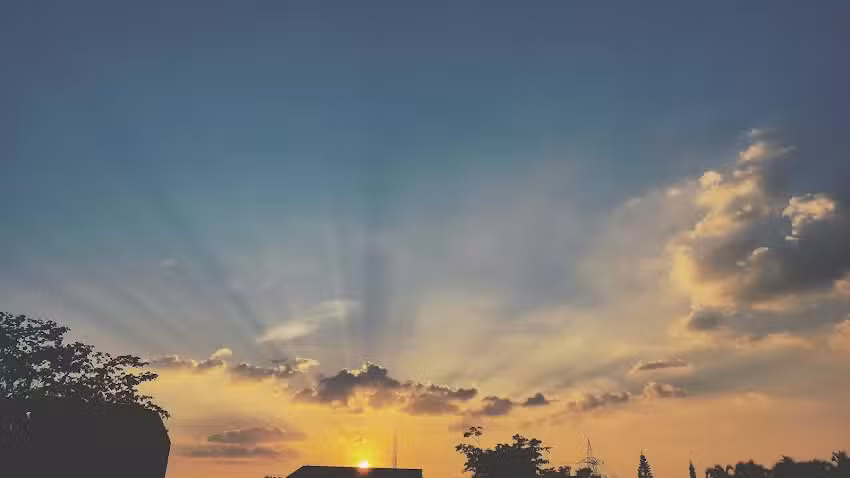 Northern Pulp Cellulose Sales