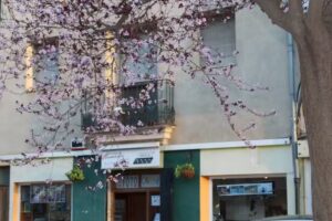 ofite-k / foto carnet / reprografía / foto poster /enmarcado