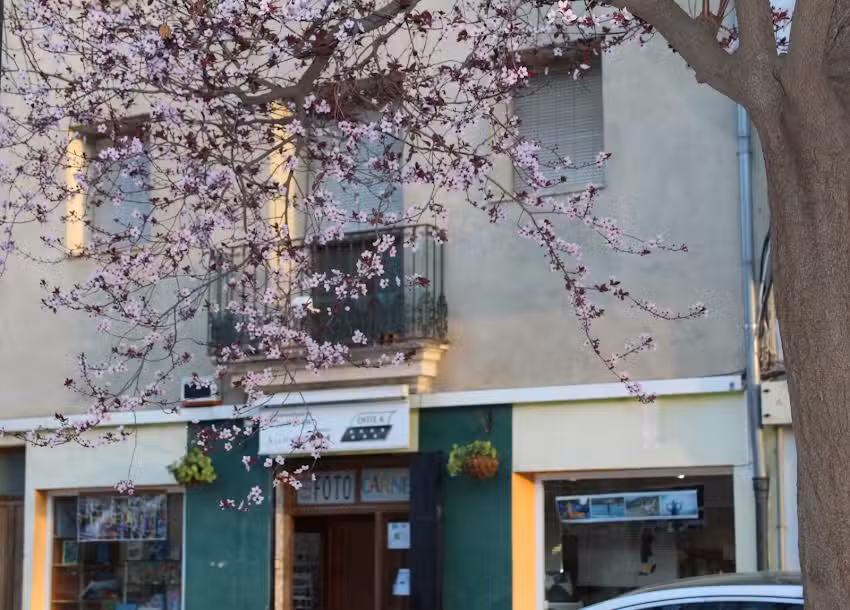 ofite-k / foto carnet / reprografía / foto poster /enmarcado