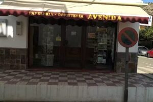 Papelería, Librería Avenida