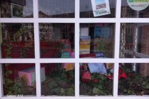 Papelería/Librería/Regalos «Lápiz y Papel»