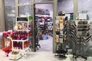 Papelería Palmaplanas