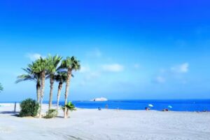 Papelería Tema Librería