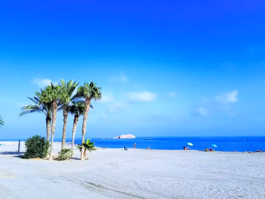 Papeler&iacute;a Tema Librer&iacute;a