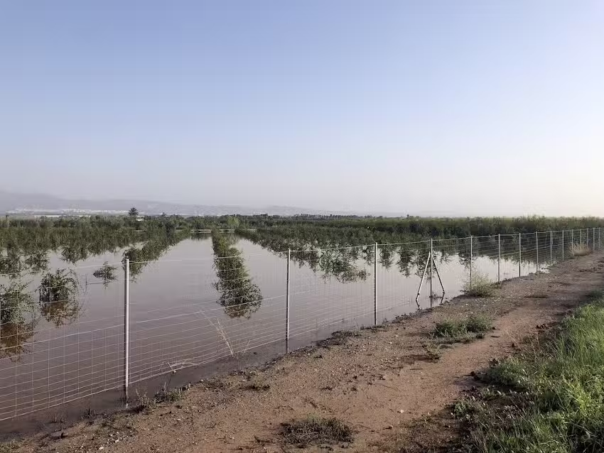 Papeles del Sureste, S.L