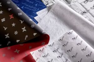 papeles y bolsas san martin s.l.s