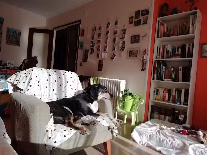 Papereria Llibreria La Ratlla