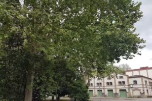 Polígon Industrial La Gelidense