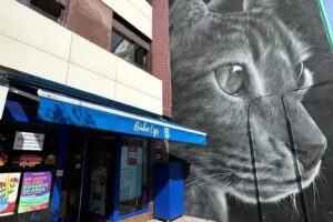 Recep.Of.Loterias Búho Lys