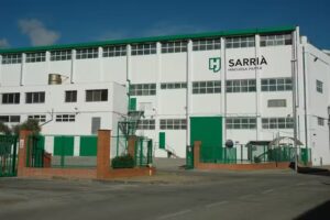 Sarri&agrave; Hinojosa Paper