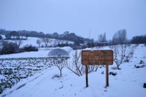 Tierra Papel Tijera S.C.