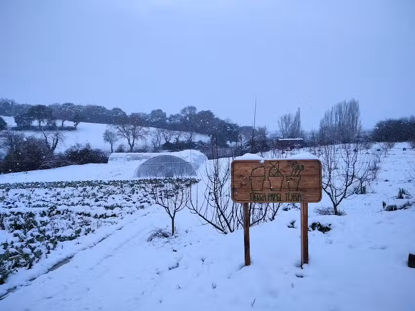 Tierra Papel Tijera S.C.